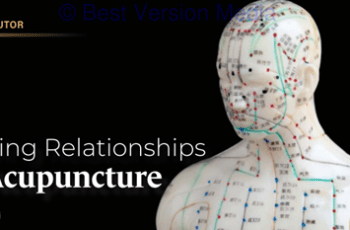 Solidifying Relationships with Acupuncture